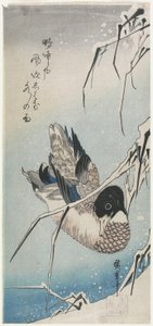 (Duck and Snowy Reeds), tidlig på 1830-tallet