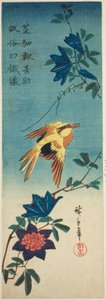(Faksimile?) Svartnakket oriole og klematis av Utagawa Hiroshige