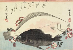 (Fluke and Black Bass, Cherry Blossoms)