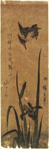 (Iris og Kingfisher), 1830-1858