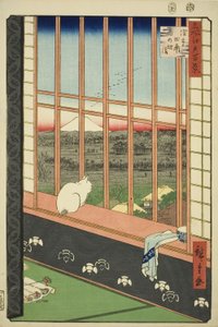 Asakusa lycee Fie lds plan d town feschival (Asakusa rice field catching town er også oppført), fra serien "Ridge d re d fa net view ws f Edo (berømt sted 100 views of Edo)" av Utagawa Hiroshige