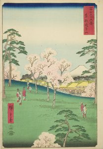 Asuka Hill i den østlige hovedstaden (Toto Asukayama), fra serien "Thirty-six Views of Mount Fuji (Fuji sanjurokkei)" av Utagawa Hiroshige