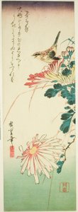 Fugl og krysantemum av Utagawa Hiroshige