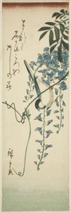 Fugl og blåregn av Utagawa Hiroshige