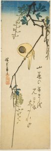 Fugl på silkeaktig blåregn av Utagawa Hiroshige