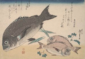 Svartebrasmer, småbrasmer, aspargesskudd og Sansho-pepper, ca. 1830