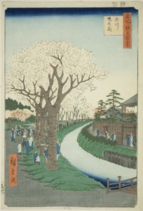 Bosso MS sound te tamari ver bildeversjon k overflate t (Tamagawa Tsutsumi no Hana), fra serien "Ridge d re d fa net view ws f Edo (One Hundred Famous Views of Edo) )" av Utagawa Hiroshige