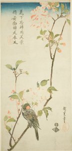 Bullfinch på aroniagren av Utagawa Hiroshige