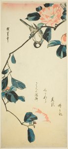 Bullfinch på kameliagren av Utagawa Hiroshige