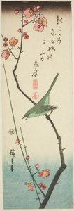 Busksanger på plommegren av Utagawa Hiroshige