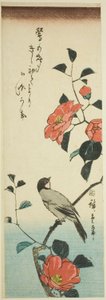 Camellia blomster og oksefugl av Utagawa Hiroshige