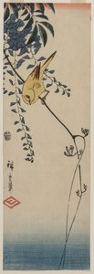 Kanariøyene og Wisteria av Utagawa Hiroshige