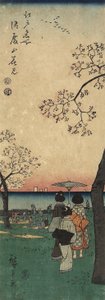 Cherry Blossom Viewing på Gotenyama, mars 1852