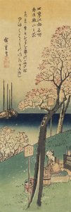 Kirsebærblomster på Gotenyama, våren, 1833-1834