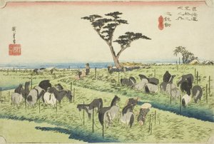 Chiryu: Early Summer Horse Market (Chiryu, shuka uma ichi), fra serien "Fifty-three Stations of the Tokaido (Tokaido gojusan tsugi no uchi)," også kjent som Hoeido Tokaido av Utagawa Hiroshige