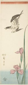 Gjøk og iris av Utagawa Hiroshige