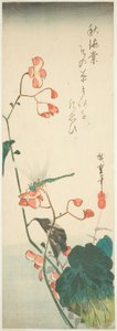Dragonfly og begonia av Utagawa Hiroshige