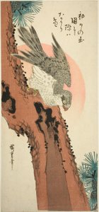 Falk på et furutre med den stigende solen av Utagawa Hiroshige