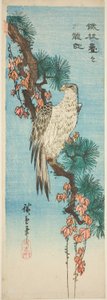 Falk på eføykledd furukren av Utagawa Hiroshige