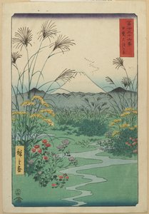 Felt ved O_tsuki i Kai-provinsen, april 1858