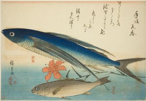 Flying fish og Ichimochi, fra en serie med fisk uten tittel av Utagawa Hiroshige