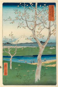 Fuji fra Koshigaya, Mushashi, nr. 14 fra serien 