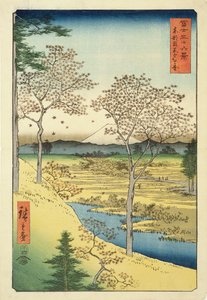 Fuji fra Yuhi-Ga, Megwo, nr. 10 fra serien '36 Views of Mt.Fuji' ('Fuji Saryu Rokkei'), (treblokktrykk i farger)
