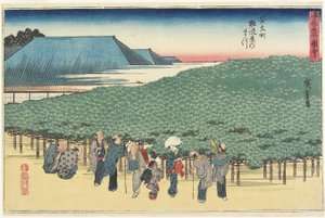 Gian t Pine av f Naniwayain Anryu_-Machi, ca. 1834