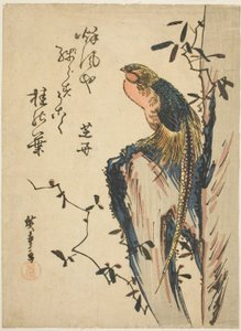 Gullfasan av Utagawa Hiroshige