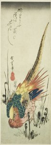 Gullfasan og brakkebregner av Utagawa Hiroshige