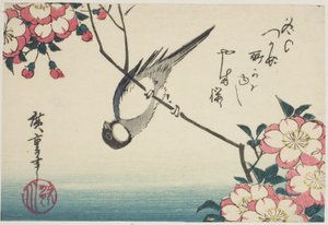 Pommemeis på kirsebærblomstgren av Utagawa Hiroshige