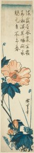 Hibiskus av Utagawa Hiroshige
