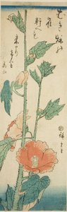 Hibiskus av Utagawa Hiroshige
