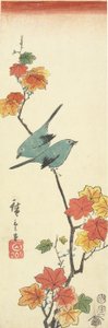 Japanske hvite øyne på en lønnegren, 1854