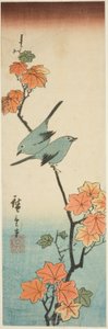 Japanske hvite øyne på en lønnegren av Utagawa Hiroshige