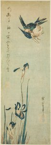 Kingfisher og iris av Utagawa Hiroshige