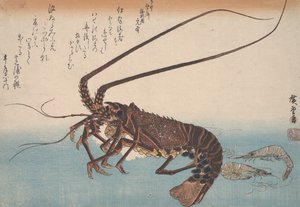 Hummer og reker, ca. 1832