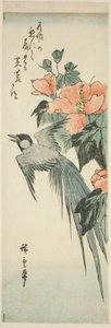Langhalefugl og hibiskus av Utagawa Hiroshige