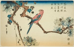 Ara på furugren av Utagawa Hiroshige