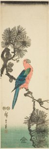 Ara på furugren av Utagawa Hiroshige