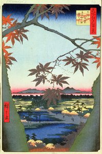 Maple Trees at Mam, Tekona Shrine and Linked Bridge, plate 94 fra serien One Hundred Views of Edo, Edo Period, Ansei Era, 1857 (treblokktrykk) av Utagawa Hiroshige