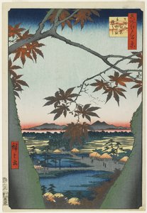 Maple Trees at Mama med utsikt over Tekona-helligdommen og broen, januar 1857