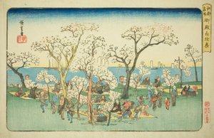 Merrymaking at Goten Hill (Gotenyama yukyo), fra serien "Famous Places in Edo (Koto meisho)" av Utagawa Hiroshige