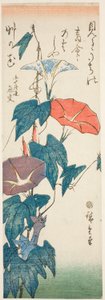 Morning Glories av Utagawa Hiroshige