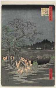Nyttårsaften Foxfires ved Nettle Tree, O_ji, september 1857