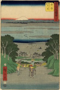 av. 25 Hey River, Kanaya, juli 1855