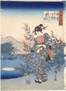 Noji: Shi x Tamariers av Utagawa Hiroshige