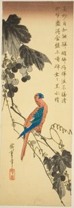 Papegøye på en vinranke av Utagawa Hiroshige
