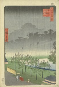 Paulownia -plantasjen i Akasaka i kveldsregn