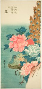 Påfugl og peoner av Utagawa Hiroshige